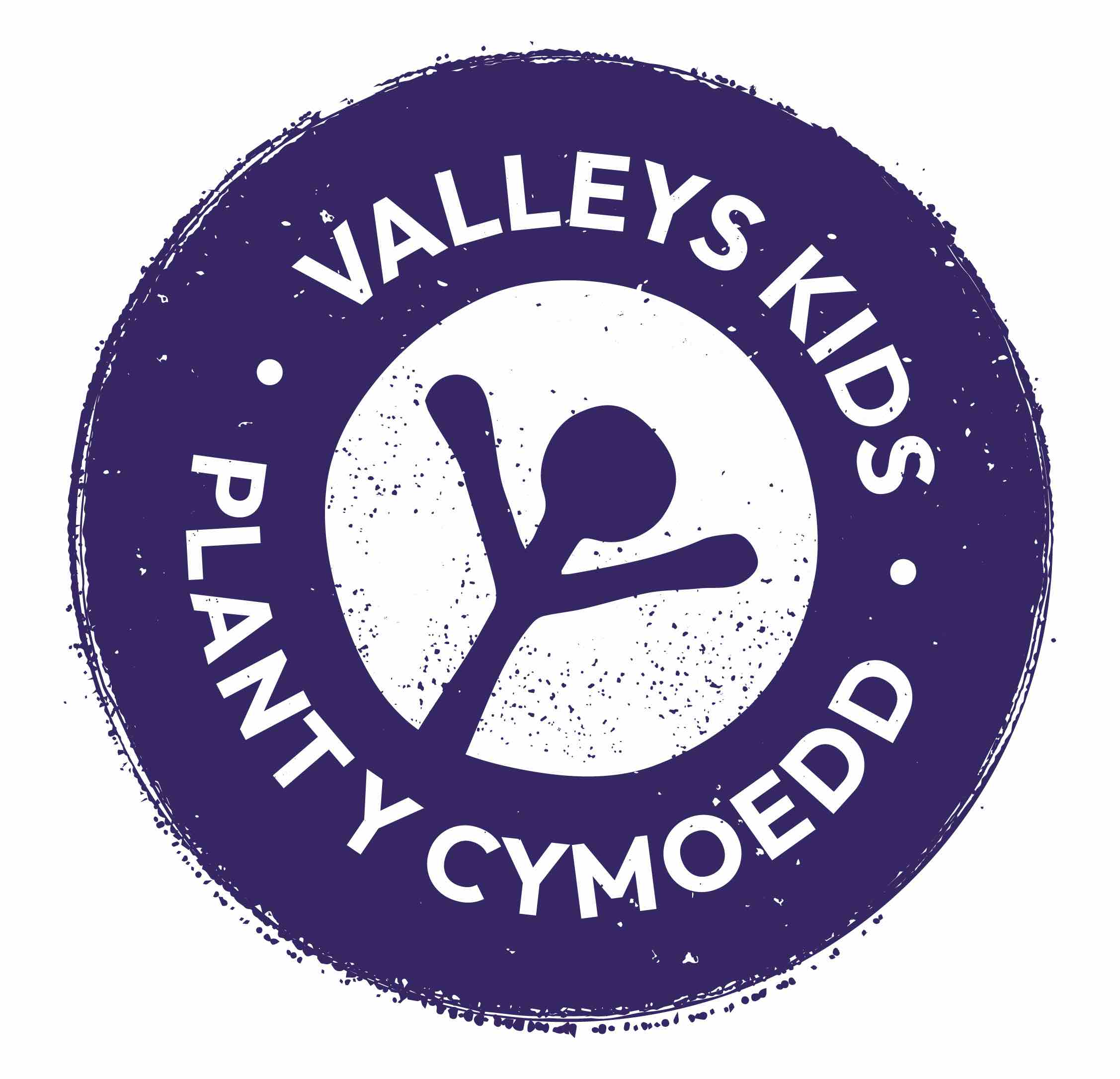 Valleys kids - logo