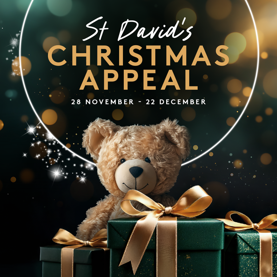 St David’s Christmas Appeal Supports Valleys Kids